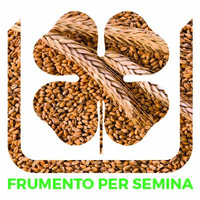 La concimazione Unimer pre-semina del frumento