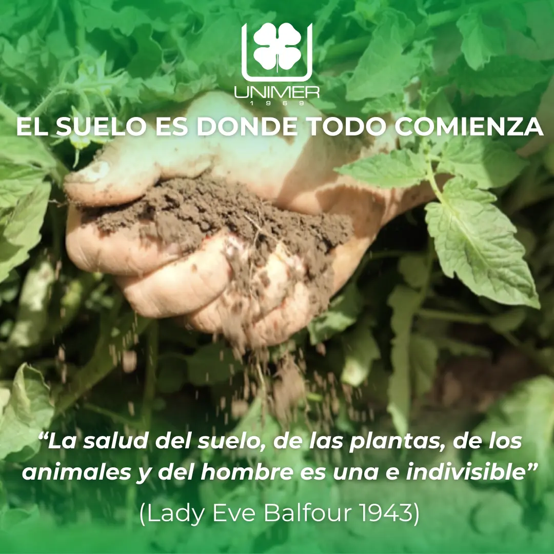 ruolo sostanza esp 1