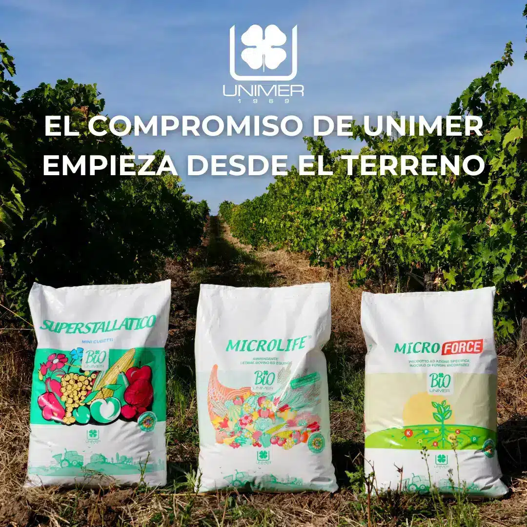 ruolo sostanza esp 3